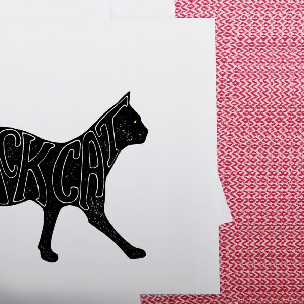 black cat detail